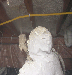 Lexington KY crawl space insulation